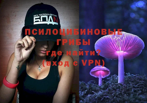 ALPHA-PVP Гусиноозёрск